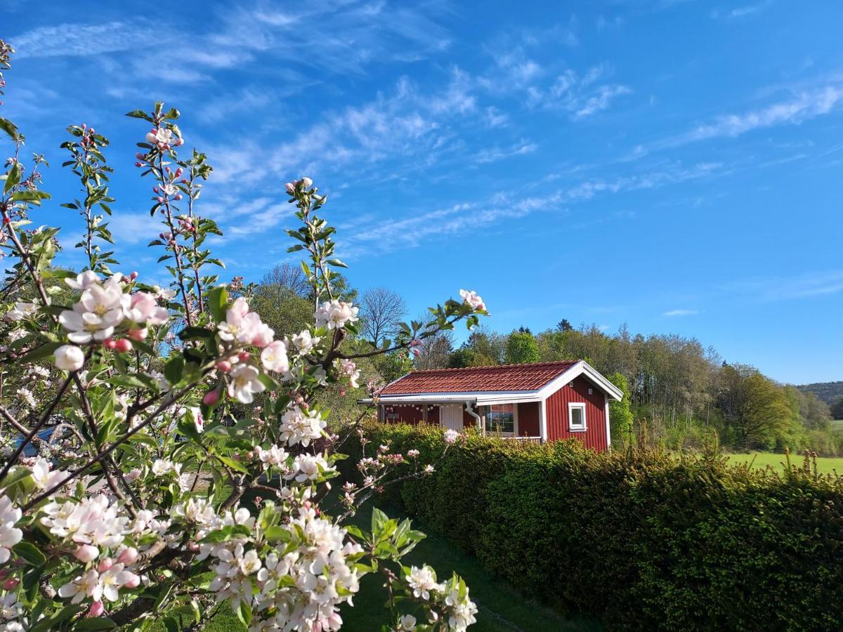 Aelgbergets Bed & Breakfast Ucklum Εξωτερικό φωτογραφία